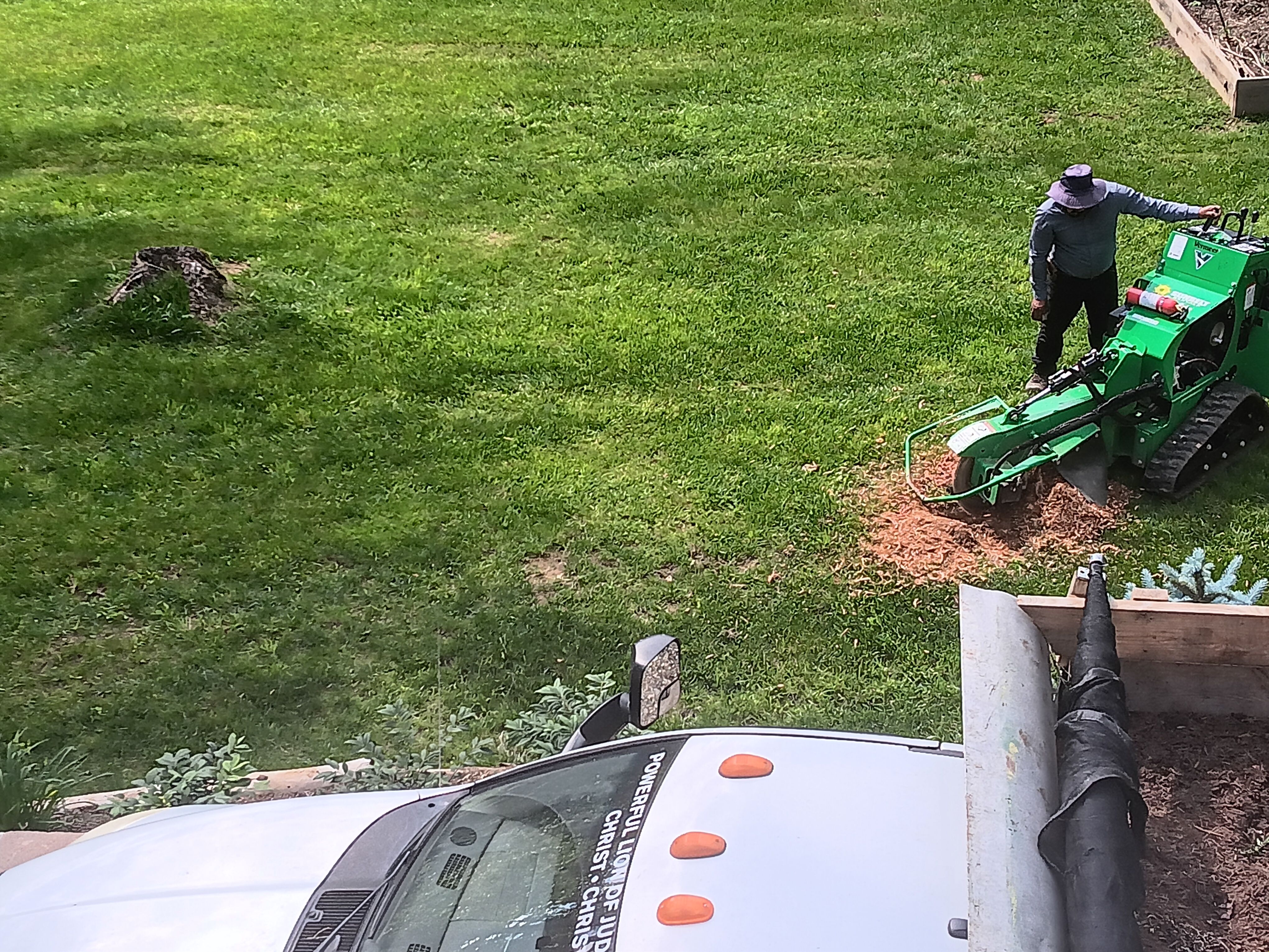 River Birch Tree Service — Stump Grinding in the High Country, NC