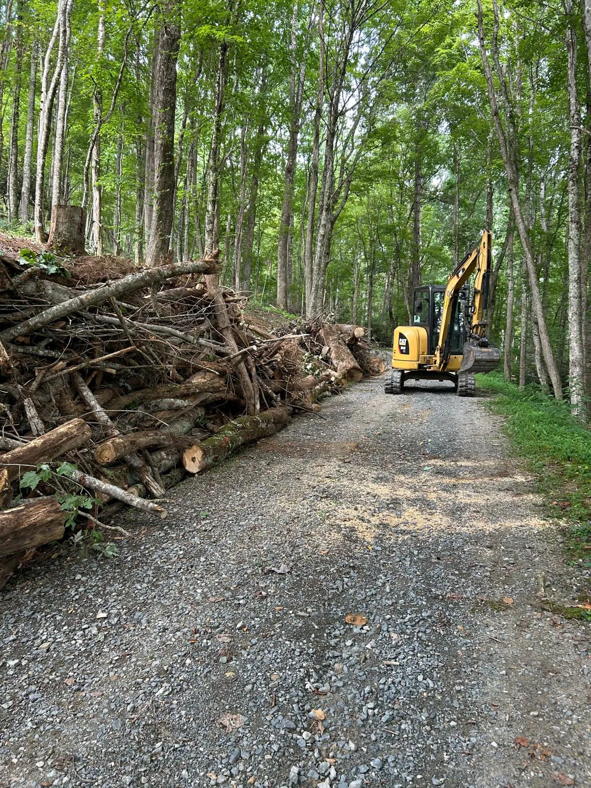 Storm debris and fallen trees cleared from a High Country road near Boone, NC