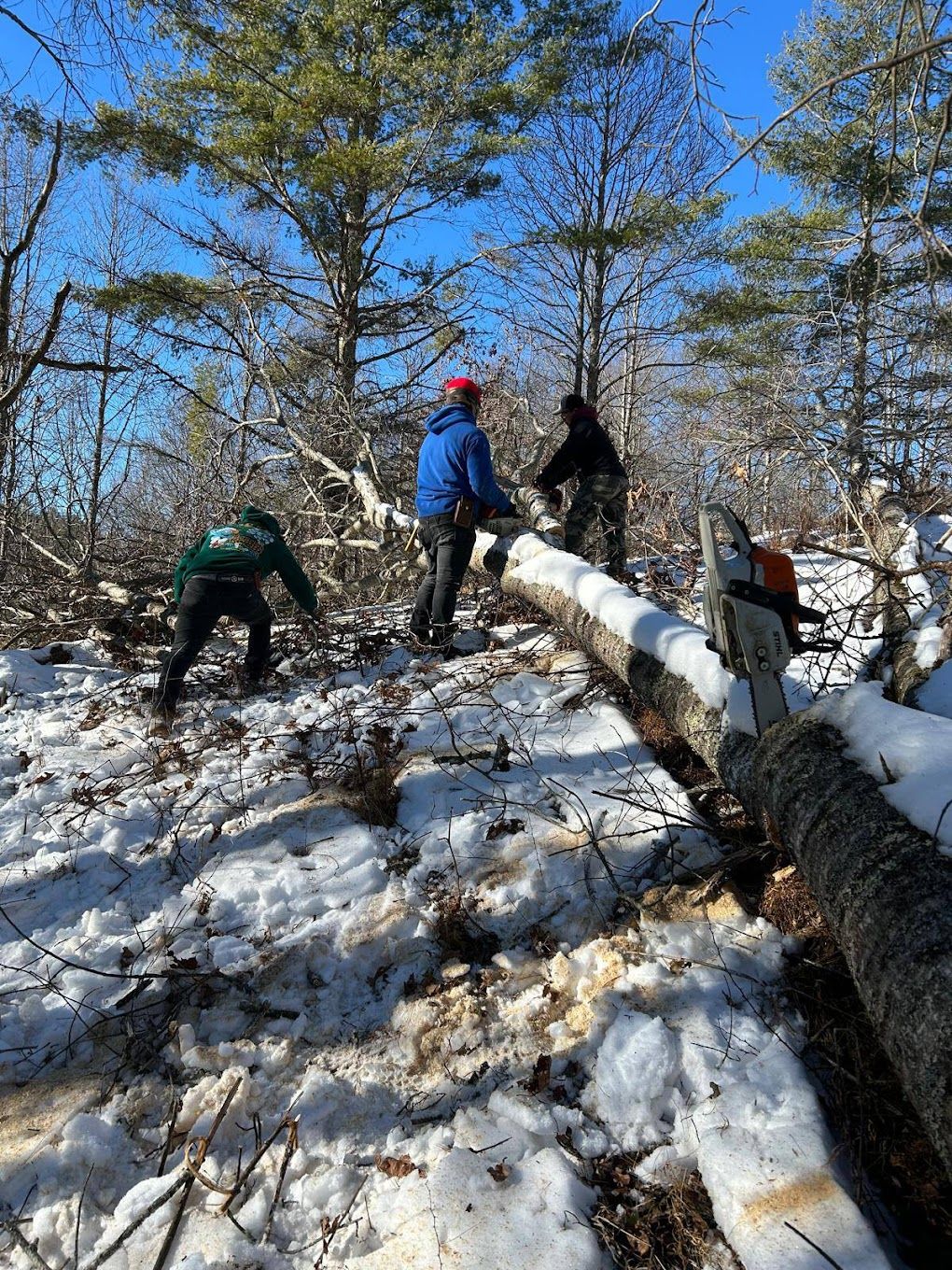 River Birch Tree Service — Emergency Storm & Ice Cleanup in the High Country, NC