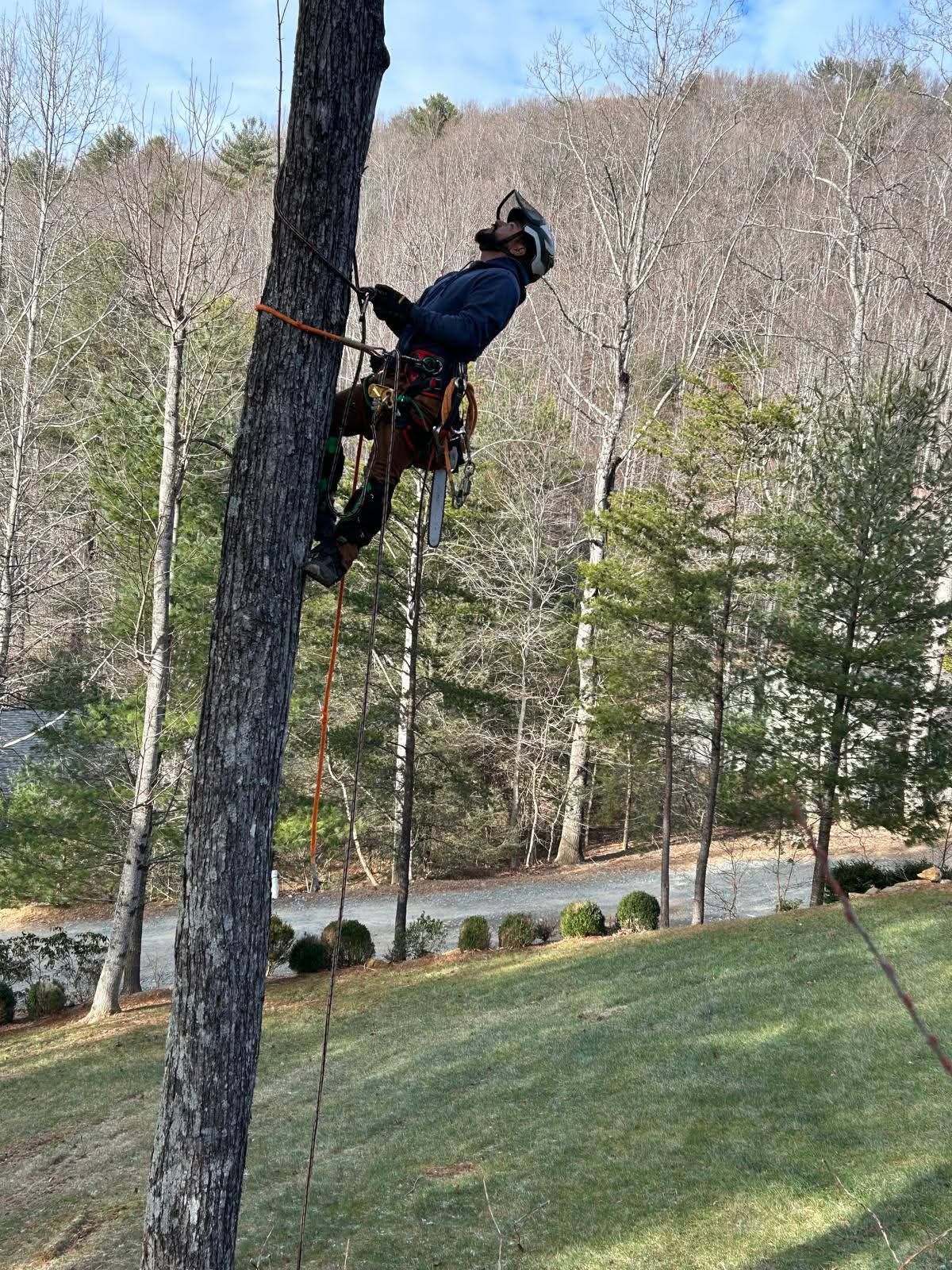 River Birch Tree Service serving Blowing Rock, NC